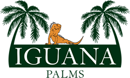 logo iguana